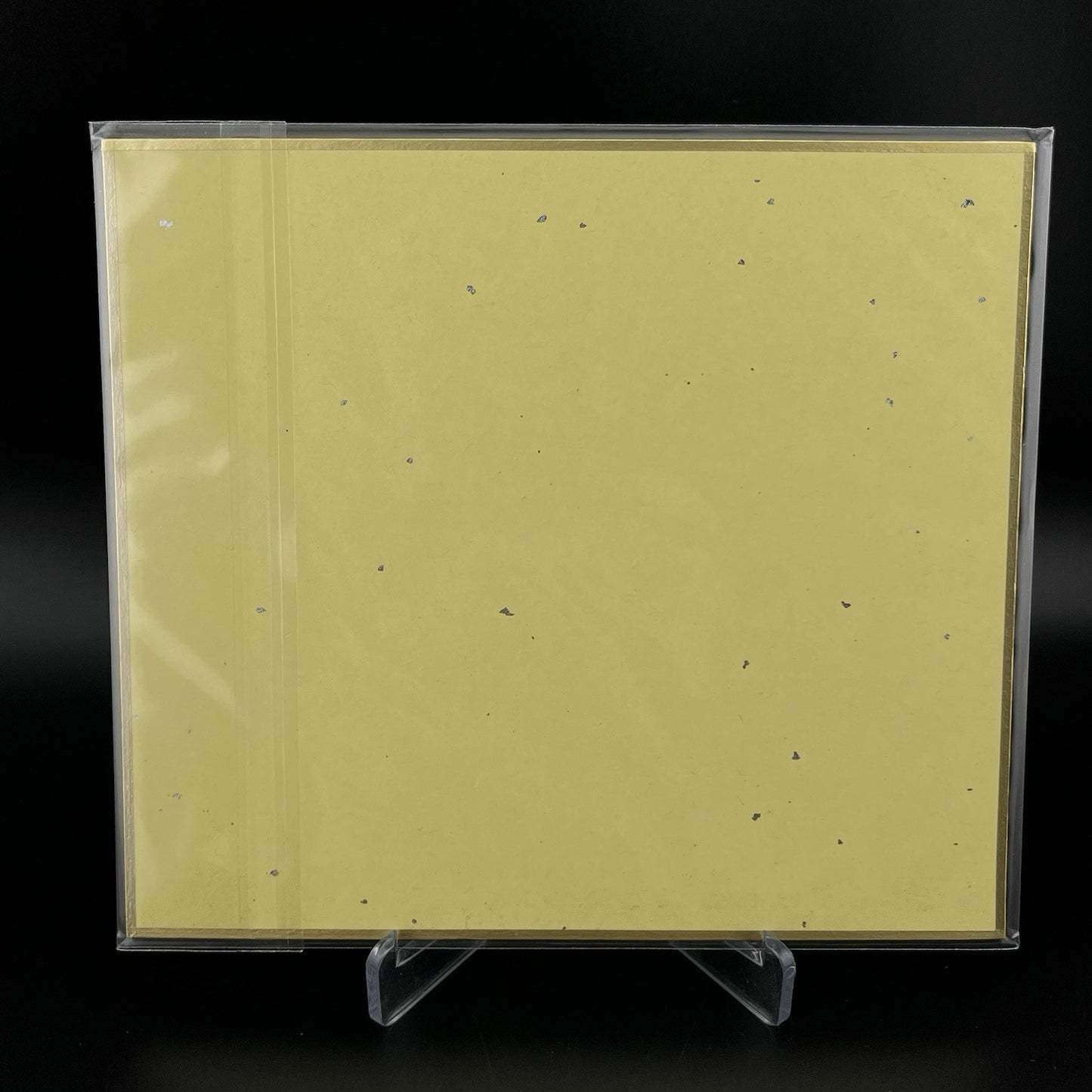 Pikachu & Eevee Evolutions 2019 Promo Shikishi Art Board Pokémon Bandai