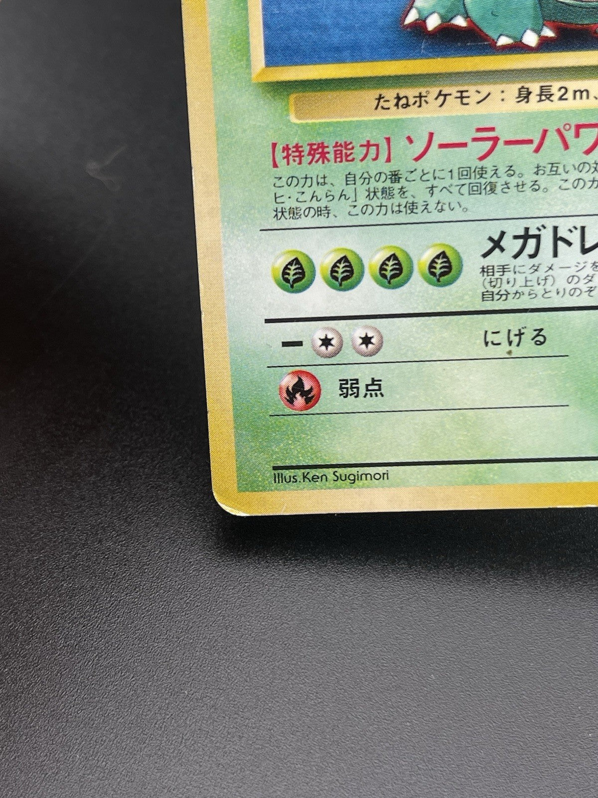Venusaur No. 003 GB Game Boy Promo Holo Rare Japanese 1998 PL