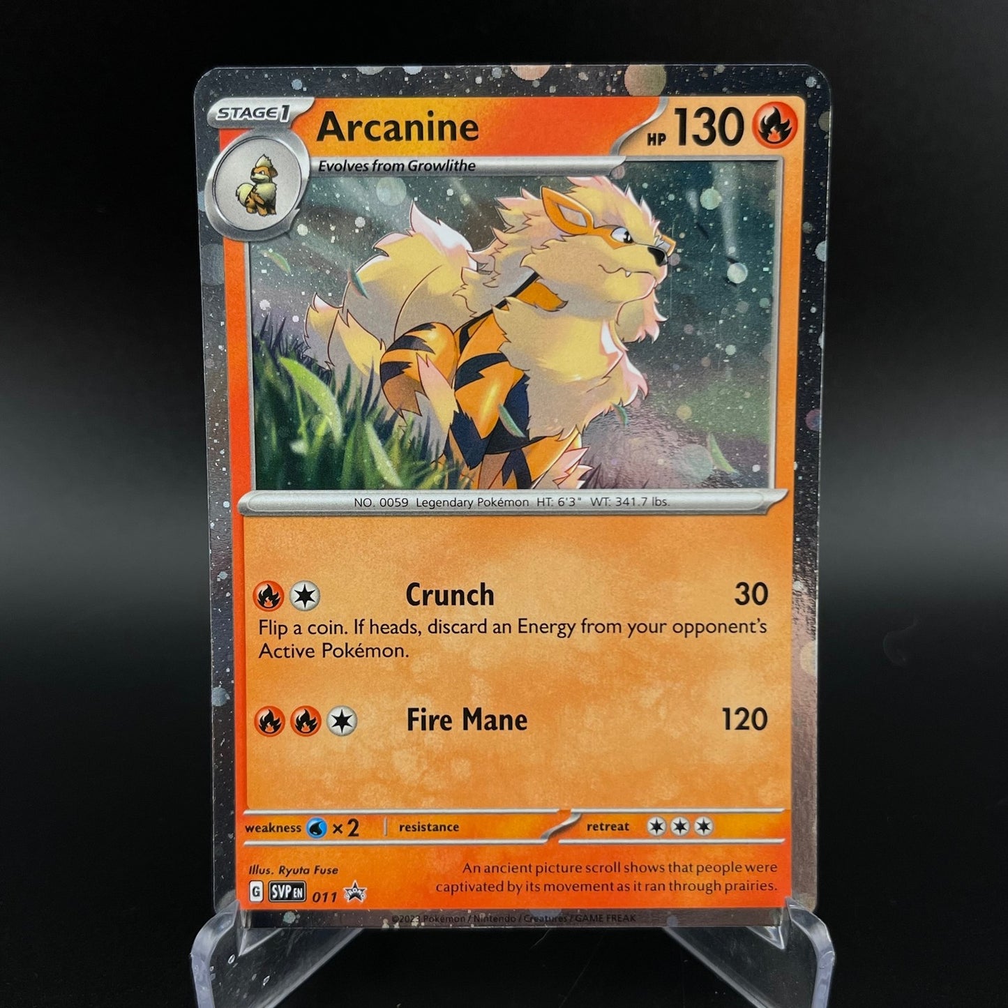 Arcanine 011 Promo Scarlet & Violet Pokemon NM