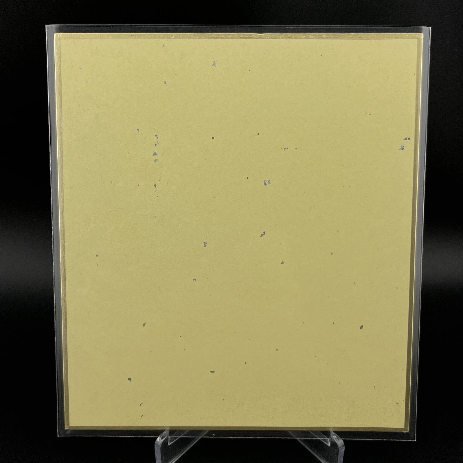 Eievui Eevee & Flareon MY151 Campaign Shikishi Art Board Pokemon Bandai