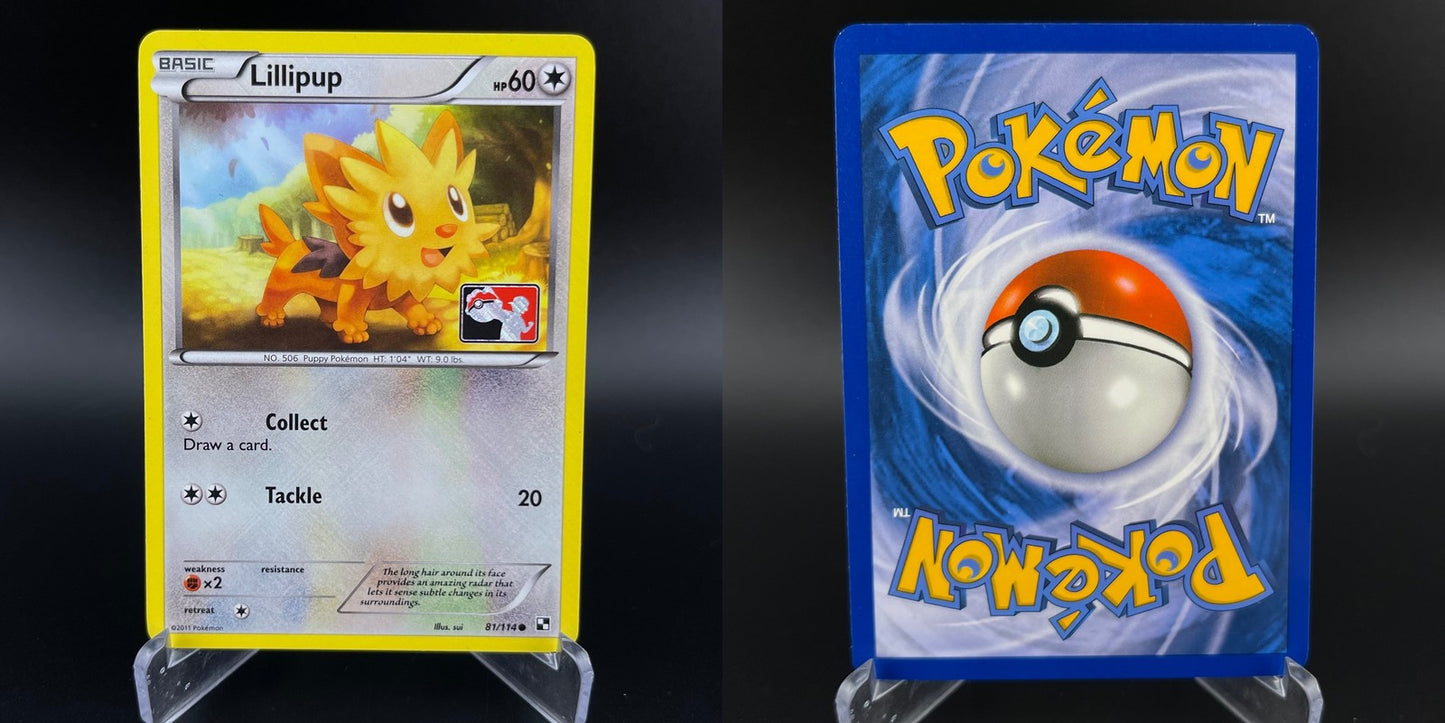 Lillipup 81/114 League Promo Cross Hatch Reverse Holo Black & White Pokemon NM