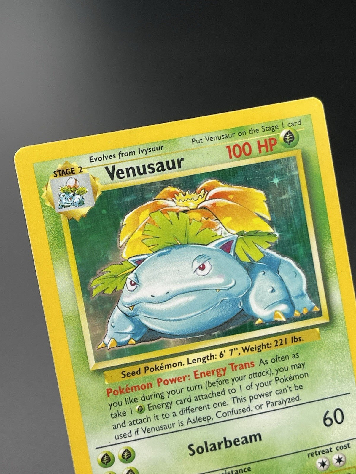 Venusaur 15/102 Base Set Holo Rare 1999 WOTC Pokemon TCG Card PL