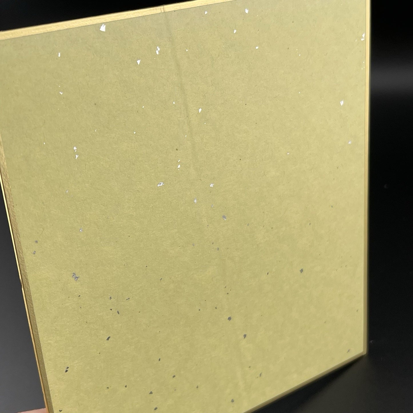 Rayquaza SILVER FOIL Series 3 Shikishi Art Board Pokémon Bandai Creased